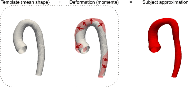 Figure 3 for Deep neural networks for fast acquisition of aortic 3D pressure and velocity flow fields