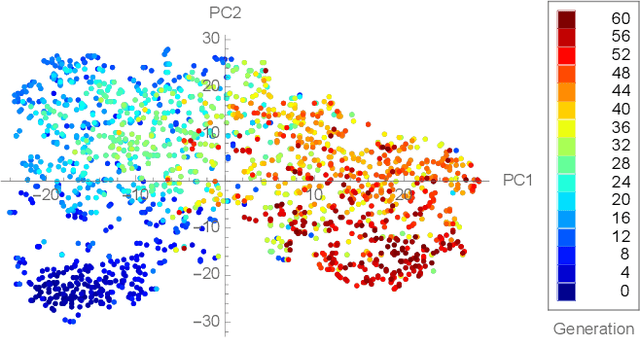Figure 4 for Evolving Loss Functions with Multivariate Taylor Polynomial Parameterizations