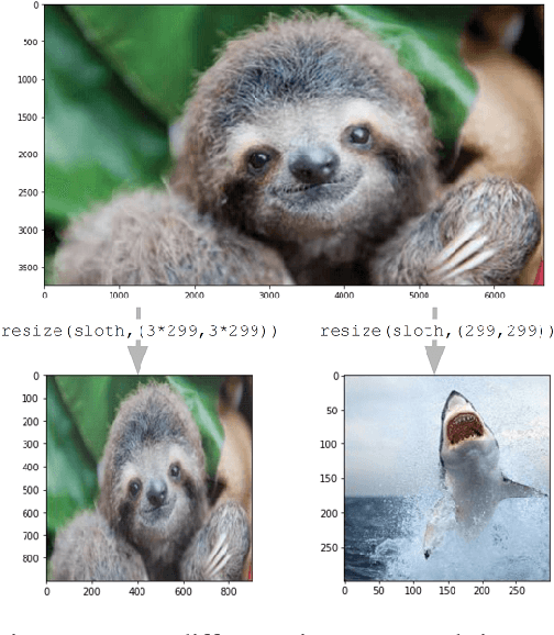 Figure 1 for Downscaling Attack and Defense: Turning What You See Back Into What You Get