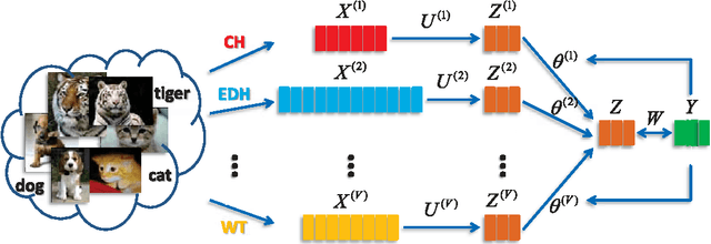 Figure 1 for Large Margin Multi-modal Multi-task Feature Extraction for Image Classification