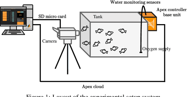 Figure 1 for Spatial Distribution Patterns of Clownfish in Recirculating Aquaculture Systems