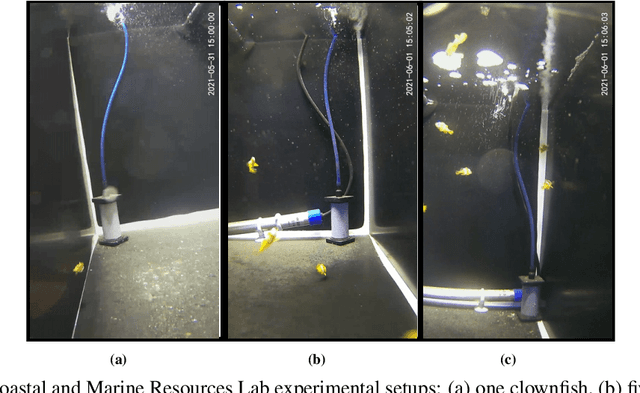 Figure 2 for Spatial Distribution Patterns of Clownfish in Recirculating Aquaculture Systems