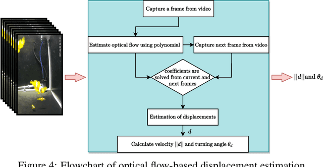Figure 4 for Spatial Distribution Patterns of Clownfish in Recirculating Aquaculture Systems