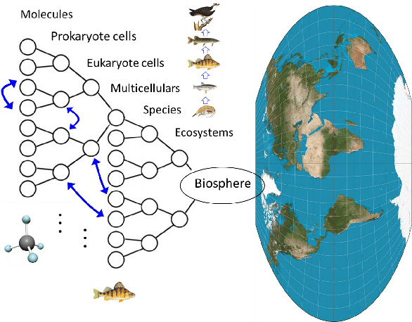 Figure 2 for The biosphere computes evolution by autoencoding interacting organisms into species and decoding species into ecosystems