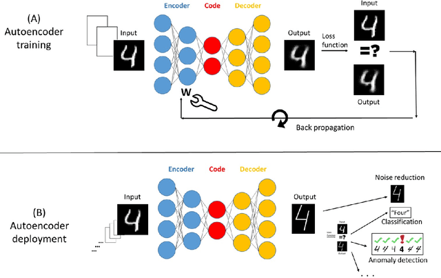 Figure 3 for The biosphere computes evolution by autoencoding interacting organisms into species and decoding species into ecosystems