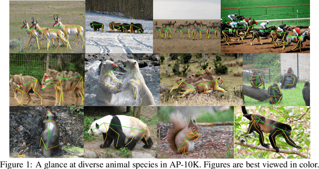 Figure 1 for AP-10K: A Benchmark for Animal Pose Estimation in the Wild