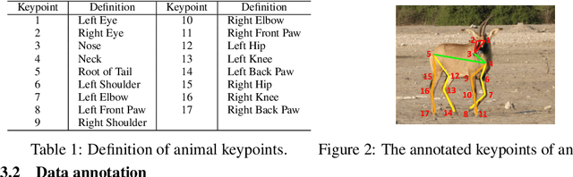 Figure 2 for AP-10K: A Benchmark for Animal Pose Estimation in the Wild