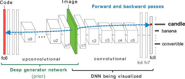 Figure 2 for Synthesizing the preferred inputs for neurons in neural networks via deep generator networks