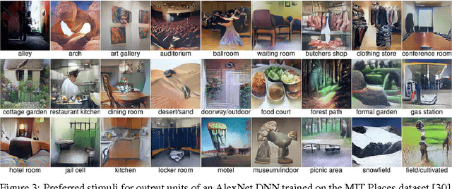 Figure 3 for Synthesizing the preferred inputs for neurons in neural networks via deep generator networks