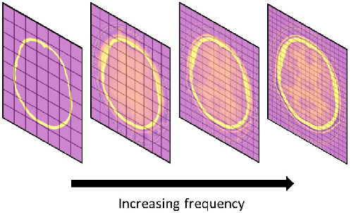 Figure 1 for Computationally efficient full-waveform inversion of the brain using frequency-adaptive grids and lossy compression