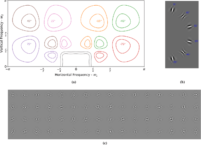 Figure 1 for Deep Learning in the Wavelet Domain