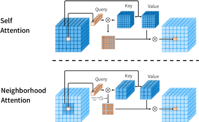 Figure 2 for Neighborhood Attention Transformer