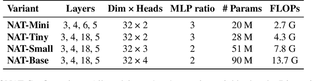 Figure 3 for Neighborhood Attention Transformer