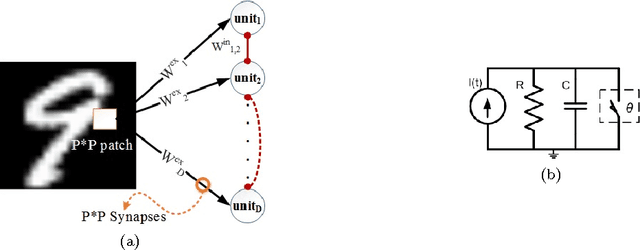 Figure 2 for Bio-Inspired Spiking Convolutional Neural Network using Layer-wise Sparse Coding and STDP Learning