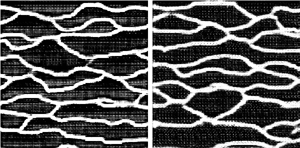 Figure 3 for Dilated Spatial Generative Adversarial Networks for Ergodic Image Generation