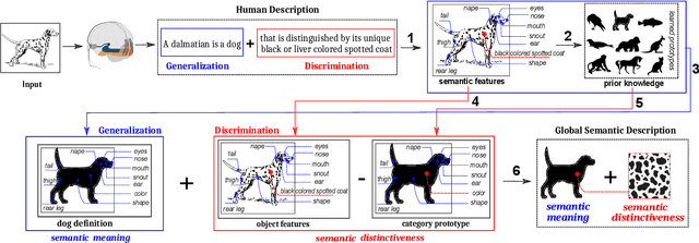 Figure 1 for Global Semantic Description of Objects based on Prototype Theory