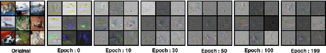 Figure 1 for On Saliency Maps and Adversarial Robustness