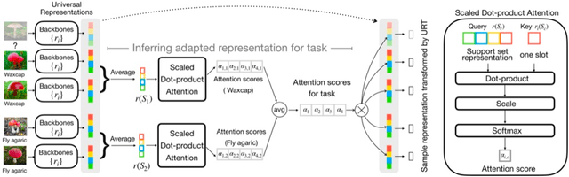 Figure 1 for A Universal Representation Transformer Layer for Few-Shot Image Classification