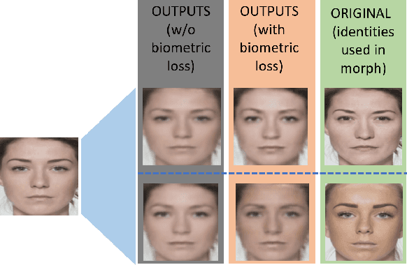 Figure 4 for Facial De-morphing: Extracting Component Faces from a Single Morph