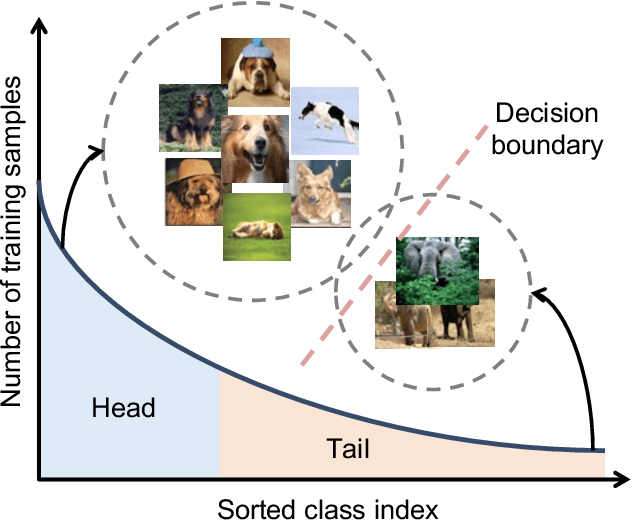 Figure 1 for Deep Long-Tailed Learning: A Survey