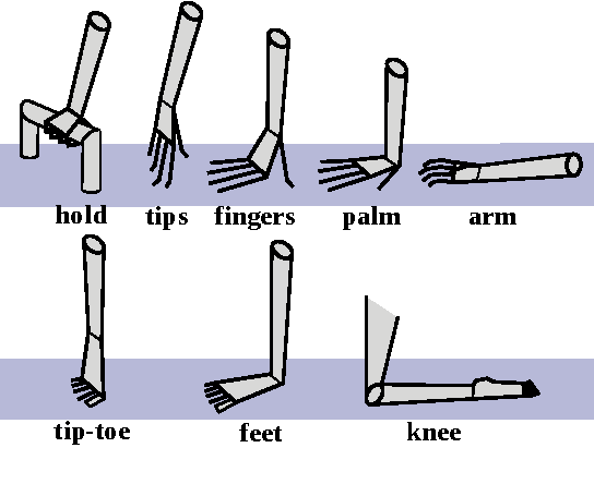 Figure 2 for A Whole-Body Pose Taxonomy for Loco-Manipulation Tasks