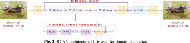 Figure 3 for Two-stage domain adapted training for better generalization in real-world image restoration and super-resolution