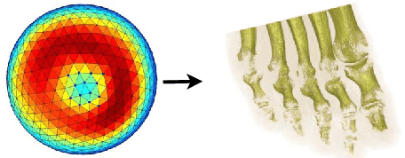 Figure 1 for Machine Learning on Biomedical Images: Interactive Learning, Transfer Learning, Class Imbalance, and Beyond