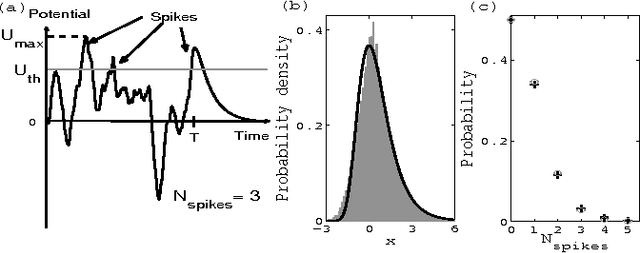 Figure 1 for Theory of spike timing based neural classifiers