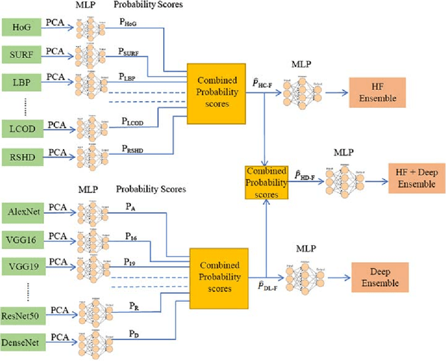 Figure 3 for Ensembling Handcrafted Features with Deep Features: An Analytical Study for Classification of Routine Colon Cancer Histopathological Nuclei Images