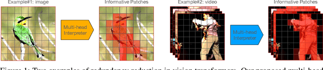 Figure 1 for IA-RED$^2$: Interpretability-Aware Redundancy Reduction for Vision Transformers