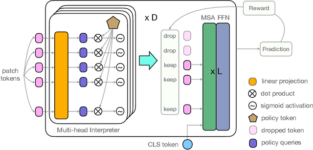 Figure 2 for IA-RED$^2$: Interpretability-Aware Redundancy Reduction for Vision Transformers