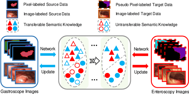 Figure 1 for Weakly-Supervised Cross-Domain Adaptation for Endoscopic Lesions Segmentation