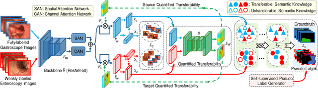 Figure 2 for Weakly-Supervised Cross-Domain Adaptation for Endoscopic Lesions Segmentation