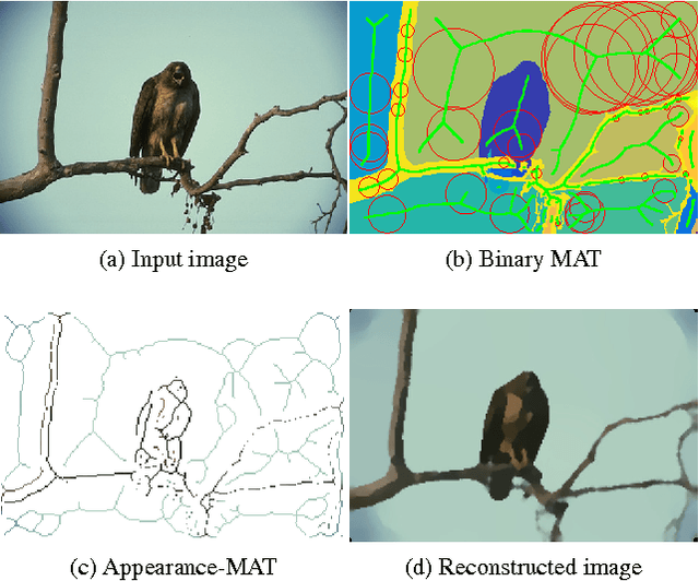 Figure 1 for AMAT: Medial Axis Transform for Natural Images