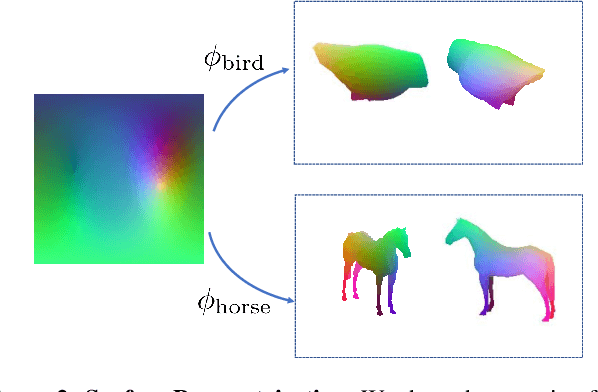 Figure 2 for Canonical Surface Mapping via Geometric Cycle Consistency