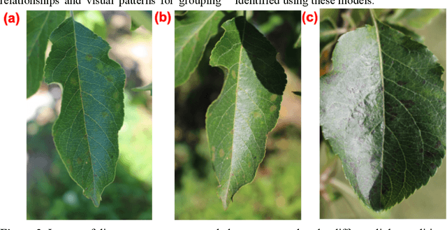 Figure 2 for The Plant Pathology 2020 challenge dataset to classify foliar disease of apples