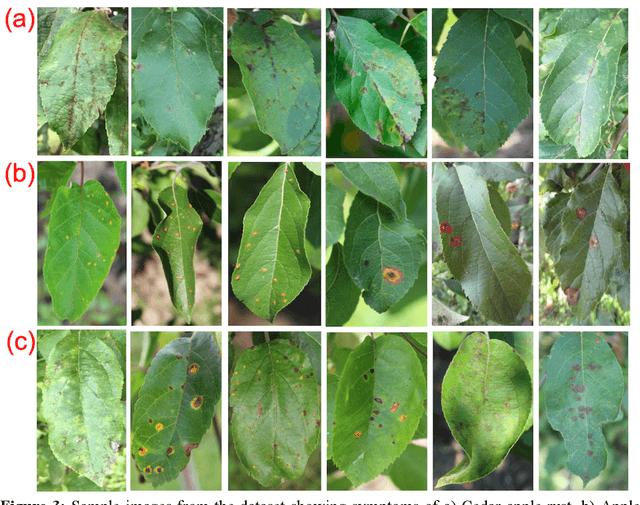 Figure 3 for The Plant Pathology 2020 challenge dataset to classify foliar disease of apples