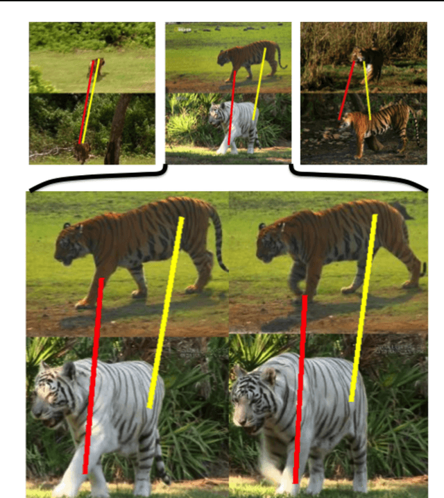 Figure 1 for Articulated motion discovery using pairs of trajectories