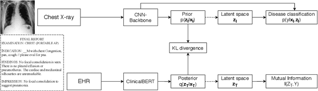 Figure 1 for Variational Knowledge Distillation for Disease Classification in Chest X-Rays