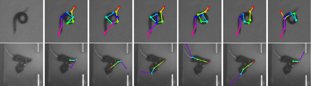 Figure 1 for Robust pose tracking with a joint model of appearance and shape