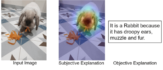 Figure 1 for Greybox XAI: a Neural-Symbolic learning framework to produce interpretable predictions for image classification