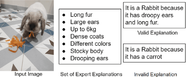 Figure 3 for Greybox XAI: a Neural-Symbolic learning framework to produce interpretable predictions for image classification