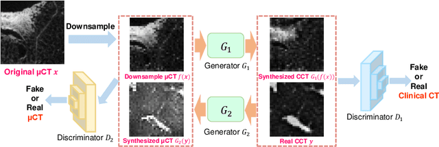 Figure 1 for Micro CT Image-Assisted Cross Modality Super-Resolution of Clinical CT Images Utilizing Synthesized Training Dataset