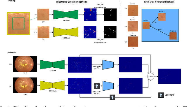 Figure 1 for Multi-scale Microaneurysms Segmentation Using Embedding Triplet Loss