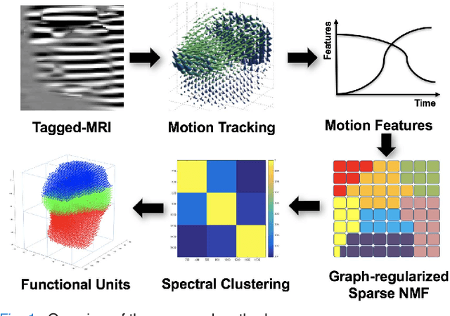 Figure 1 for A Sparse Non-negative Matrix Factorization Framework for Identifying Functional Units of Tongue Behavior from MRI