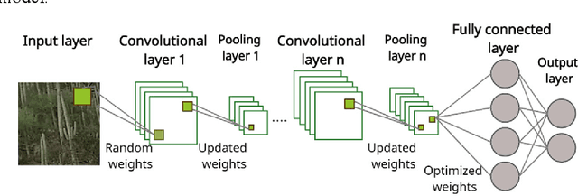 Figure 1 for An Enhanced Randomly Initialized Convolutional Neural Network for Columnar Cactus Recognition in Unmanned Aerial Vehicle Imagery