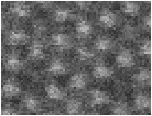 Figure 4 for Two-Level Structural Sparsity Regularization for Identifying Lattices and Defects in Noisy Images