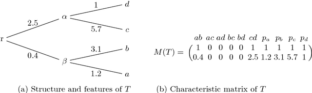 Figure 1 for Solving Tree Problems with Category Theory