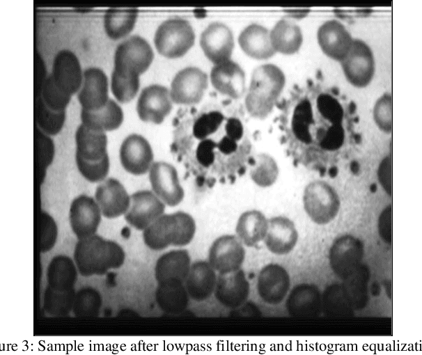 Figure 2 for A fast semi-automatic method for classification and counting the number and types of blood cells in an image
