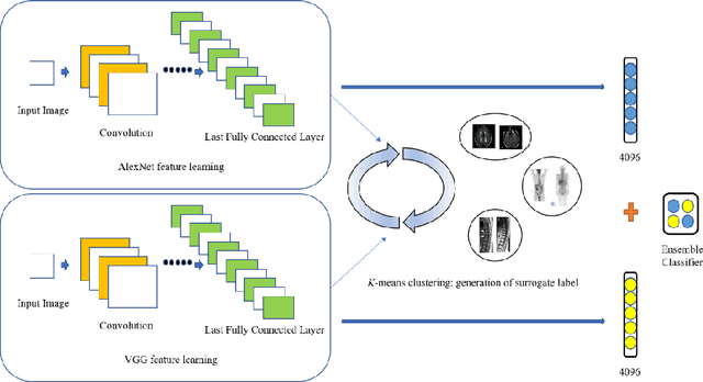 Figure 1 for Unsupervised Feature Learning with K-means and An Ensemble of Deep Convolutional Neural Networks for Medical Image Classification